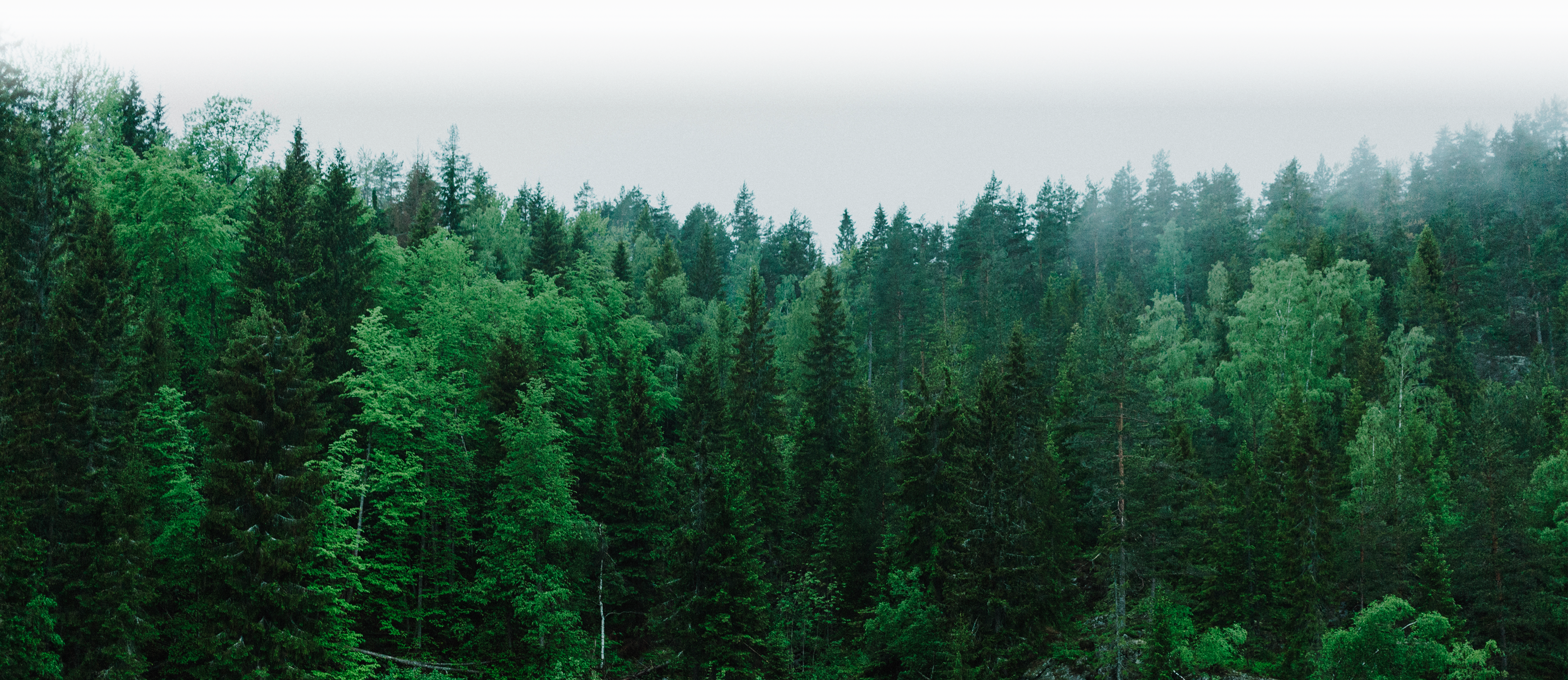 Выполненный проект АЛМА СТРОЙ